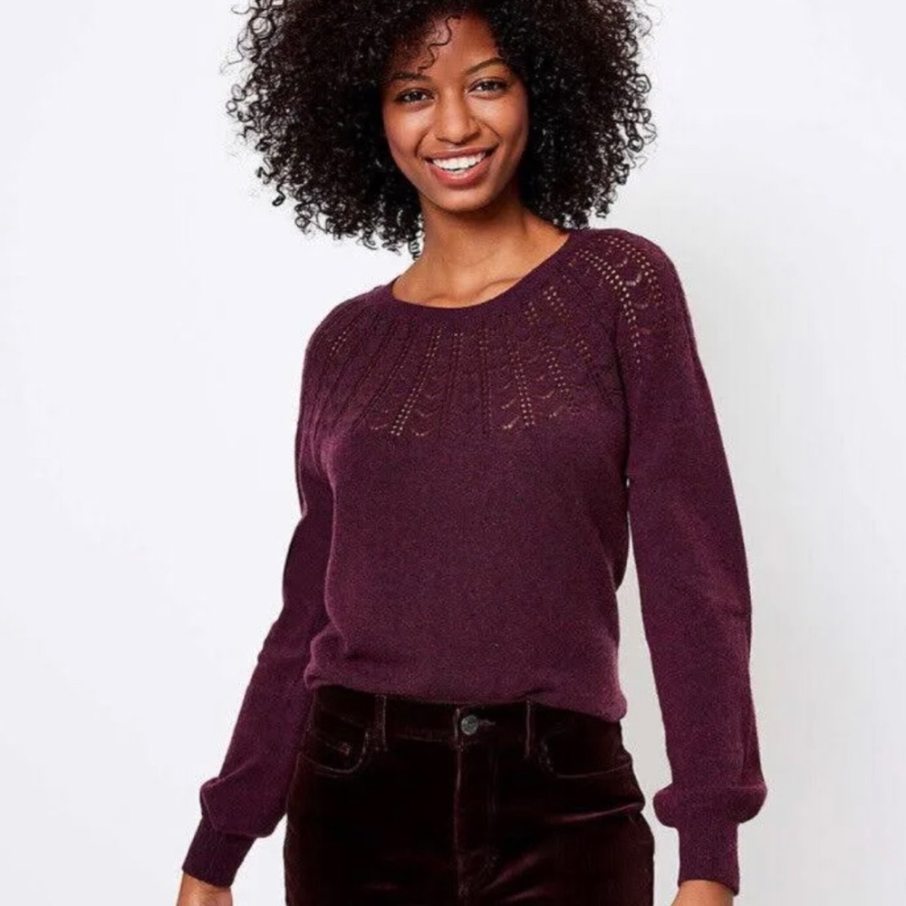 Ann Taylor Loft pointelle sweater